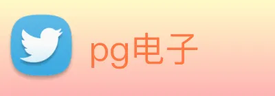 pg电子 logo